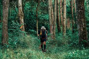 BIB: 
                            <button type="button" onclick="openModal(25237945)" class="btn btn-primary btn-sm float-right btn-popup" data-toggle="modal" data-target=".modal-high-quality">
                        <i class="fas fa-shopping-cart"></i> Add to Cart
                    </button>
                                            <button type="button" onclick="isThisMe(25237945, true)" class="btn btn-success btn-sm float-right btn-popup btn-isme hidden" data-toggle="tooltip" data-placement="bottom" title="นี่คือรูปของคุณใช่ไหม คลิกที่นี่เพื่อเอาเข้าอัลบั้ม">
                        <i class="fas fa-plus"></i> Add to album
                    </button>
                    <button type="button" onclick="isThisMe(25237945, false)" class="btn btn-warning btn-sm float-right btn-popup btn-isnotme hidden">
                        <i class="fas fa-ban"></i> Remove from album
                    </button>